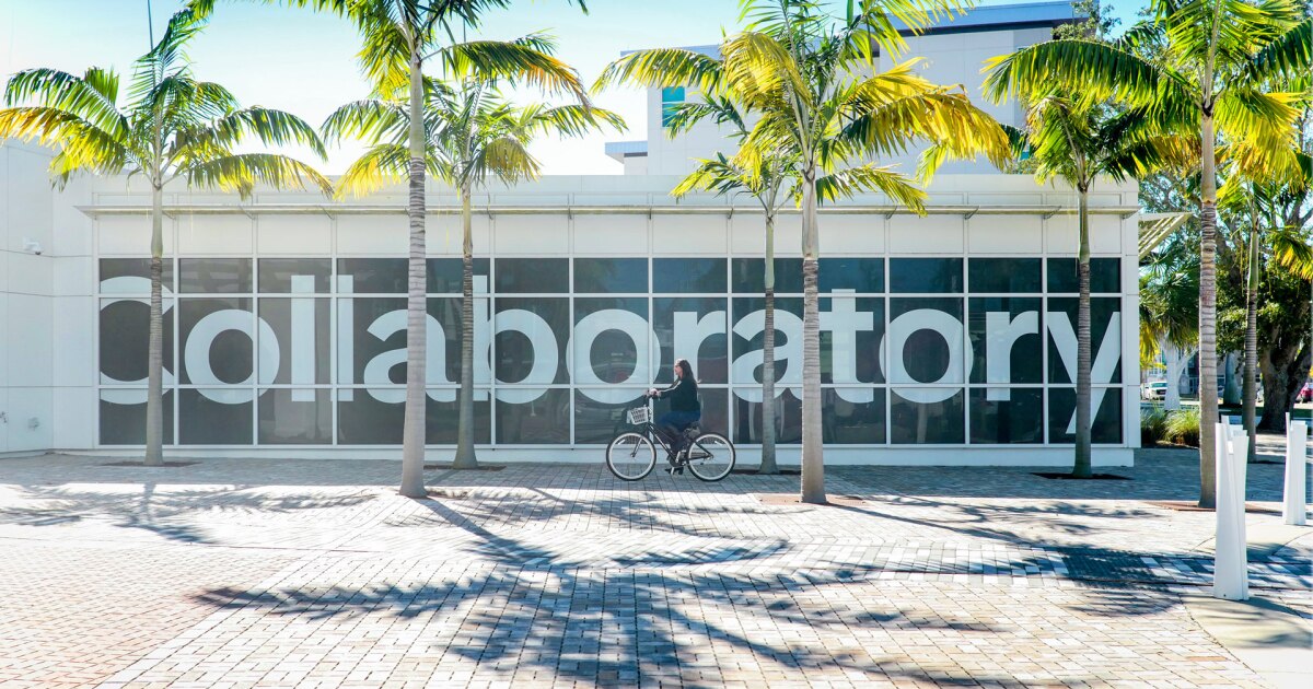 Free workshops on artificial intelligence begin Aug. 14 | WGCU News