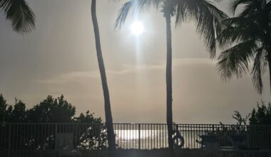 Florida sizzles as summer heat and drought tighten their grip