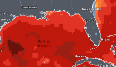 How warming Gulf waters are fueling Florida's humidity