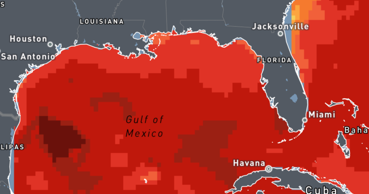 How warming Gulf waters are fueling Florida's humidity