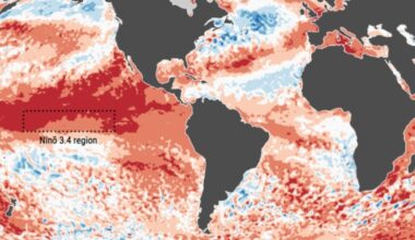 Building super El Niño to shape Florida’s winter