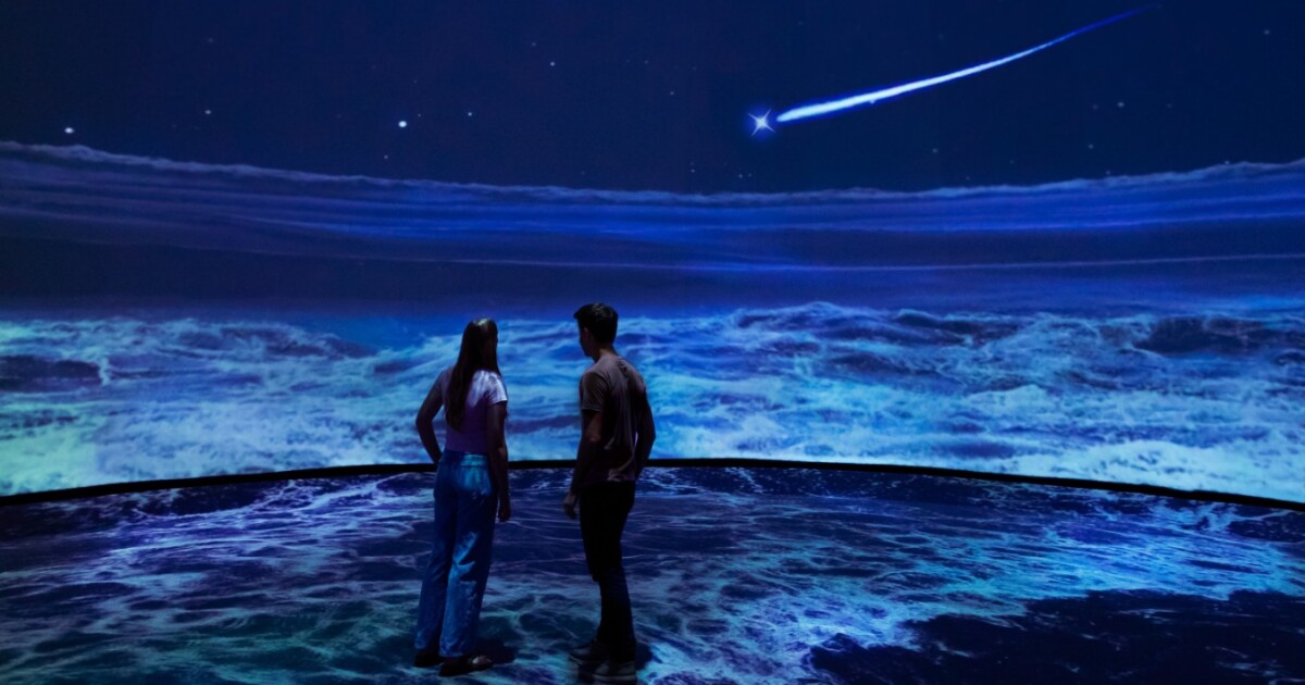 List of things to do across greater Tampa Bay this weekend | August 15, 2026