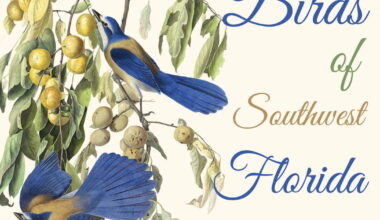 Edison-Ford exhibition, 'Birds of Southwest Florida' pays homage to Mina Edison's bird-watching | WGCU News