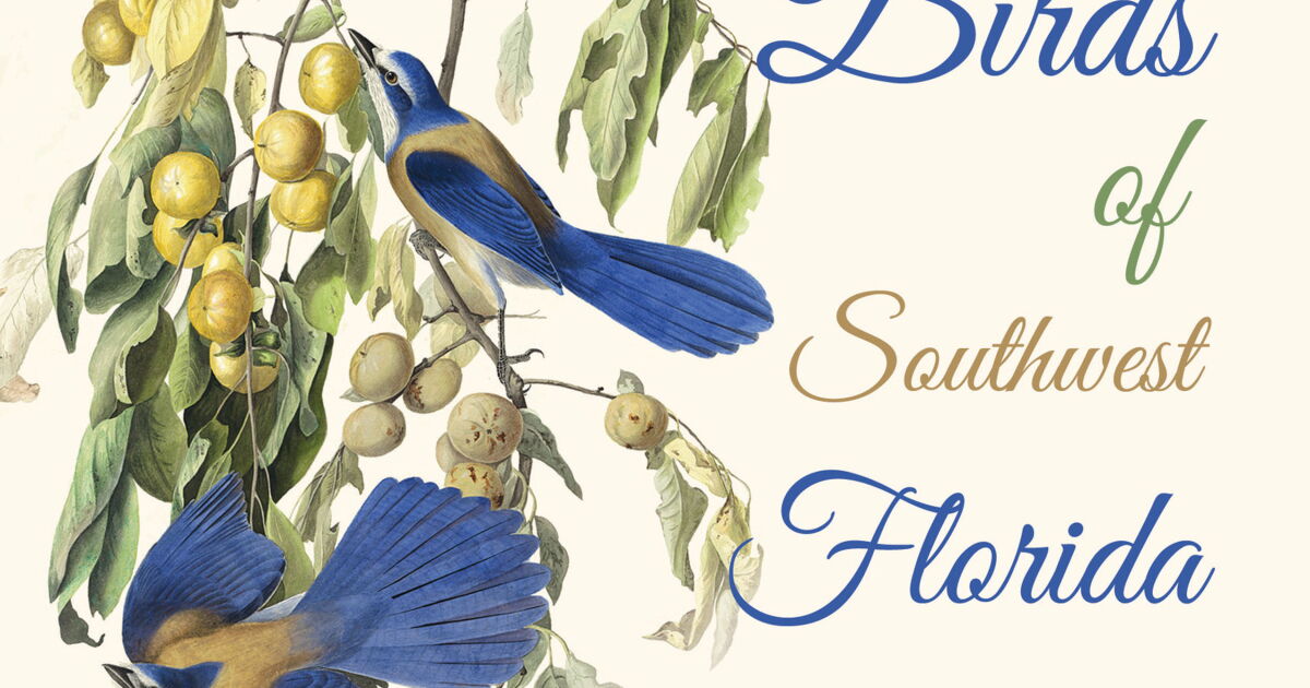 Edison-Ford exhibition, 'Birds of Southwest Florida' pays homage to Mina Edison's bird-watching | WGCU News