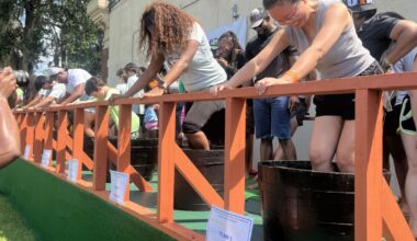 FAMU's College of Agriculture & Food Science holds its Grape Harvest Festival