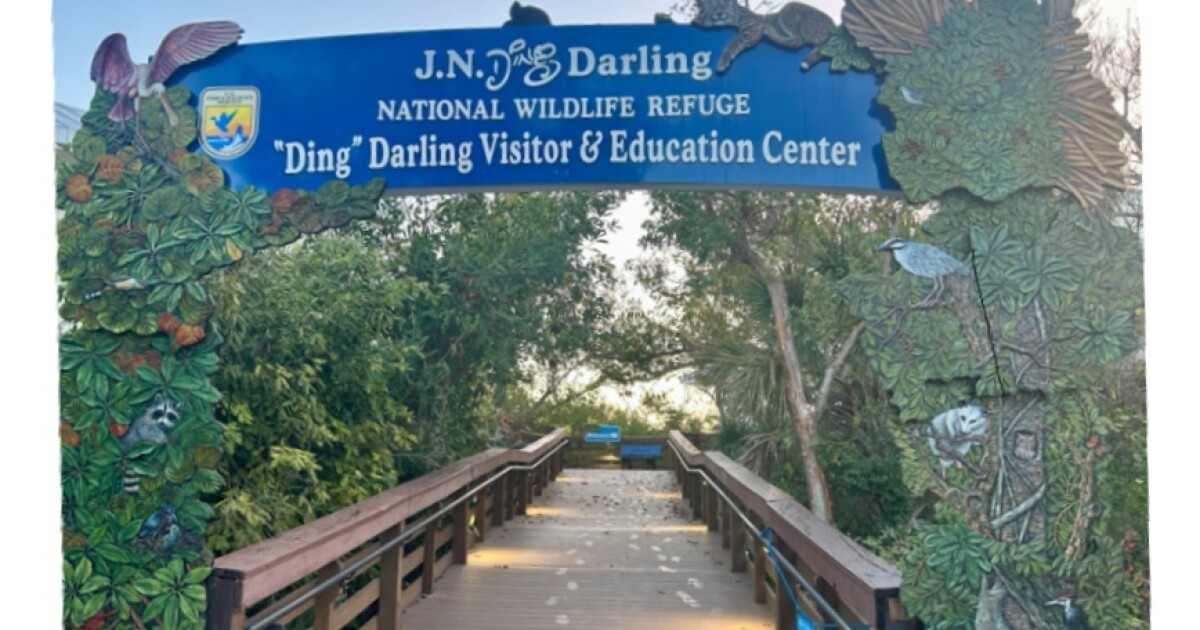 Repairs to J.N. 'Ding' Darling National Wildlife Refuge from Hurricane Ian wrapping up | WGCU News