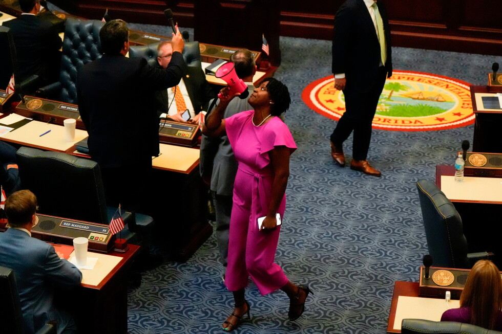 Angie Nixon's win in Florida sets up long-shot challenge in November