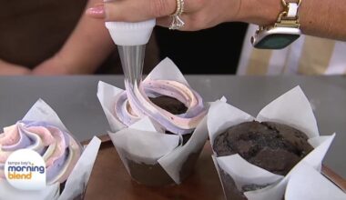 15th Annual St. Pete Cupcake Contest