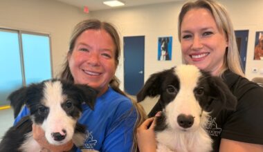 Animals rescued from Martin County hoarding cases start to show signs of healing