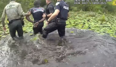Suspect arrested after Palm City hit-and-run manhunt