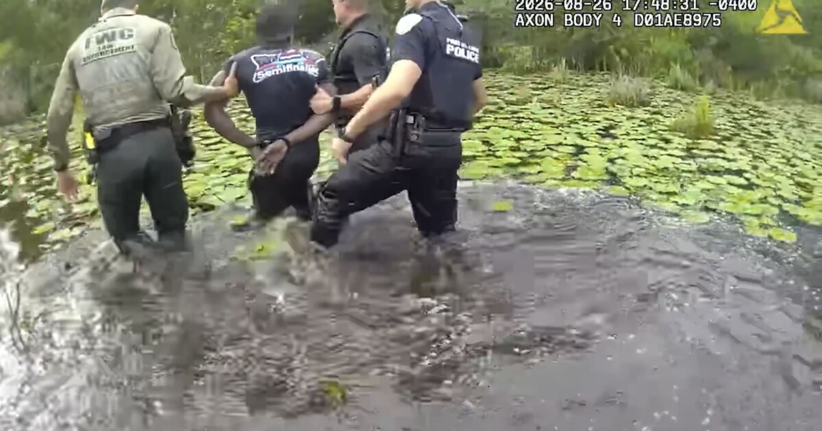Suspect arrested after Palm City hit-and-run manhunt
