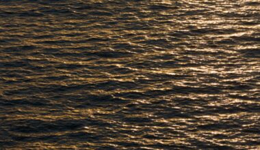 Search continues for missing boater after wake incident at Miami Beach Park