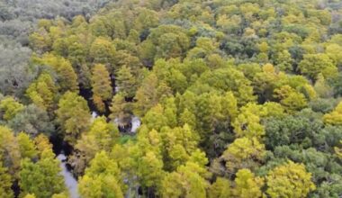 Florida Rural and Family Lands Program keeps sprawl out of Peace River Valley