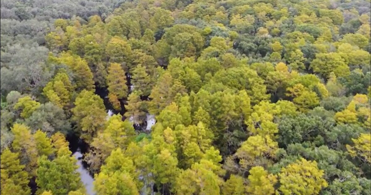 Florida Rural and Family Lands Program keeps sprawl out of Peace River Valley