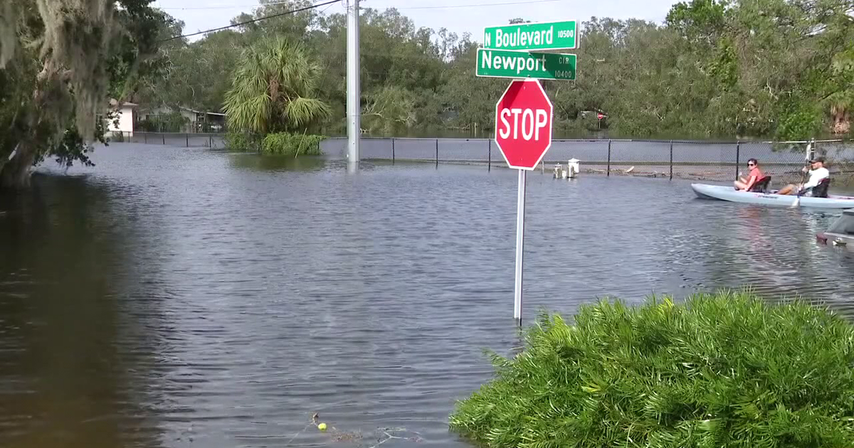 Tampa investing $2.2 million to flood-proof Forest Hills wastewater station