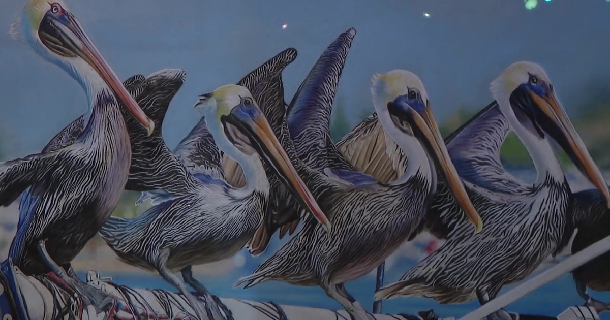 Avian art exhibition helps birds take flight again