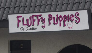 Largo dog groomer responds after dog dies during grooming appointment