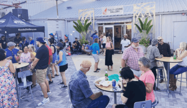 Art Everywhere will bring nearly 30 arts experiences to Pinellas County this fall