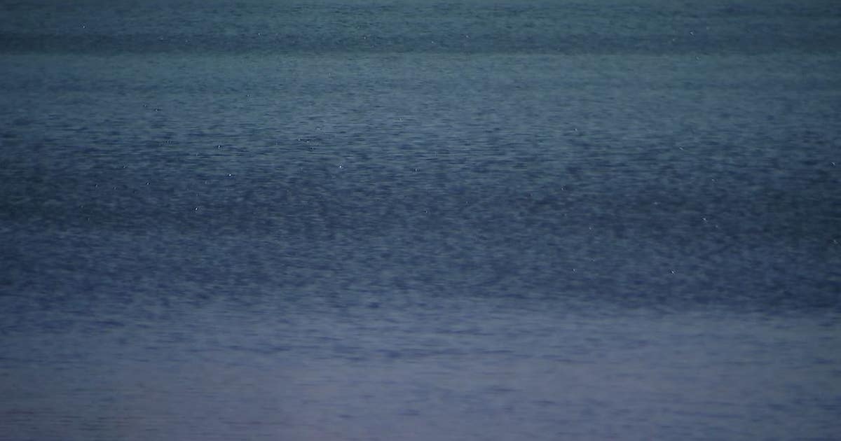 Florida man accused of attempted murder at Miami lobster diving spot