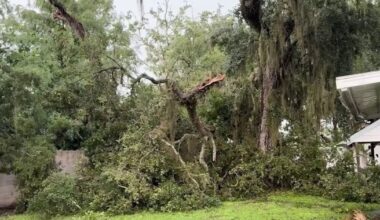 Strong storms damage homes, topple trees in Brevard County