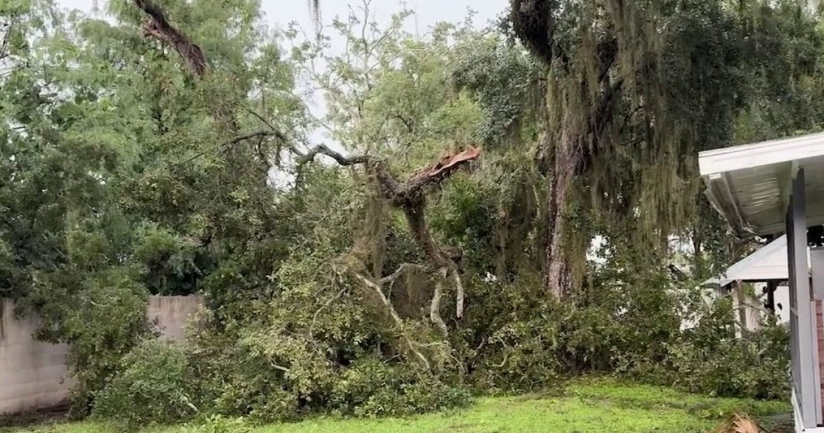Strong storms damage homes, topple trees in Brevard County
