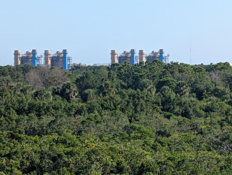 Industrial power plant stacks rising above a dense green forest canopy under a clear sky.