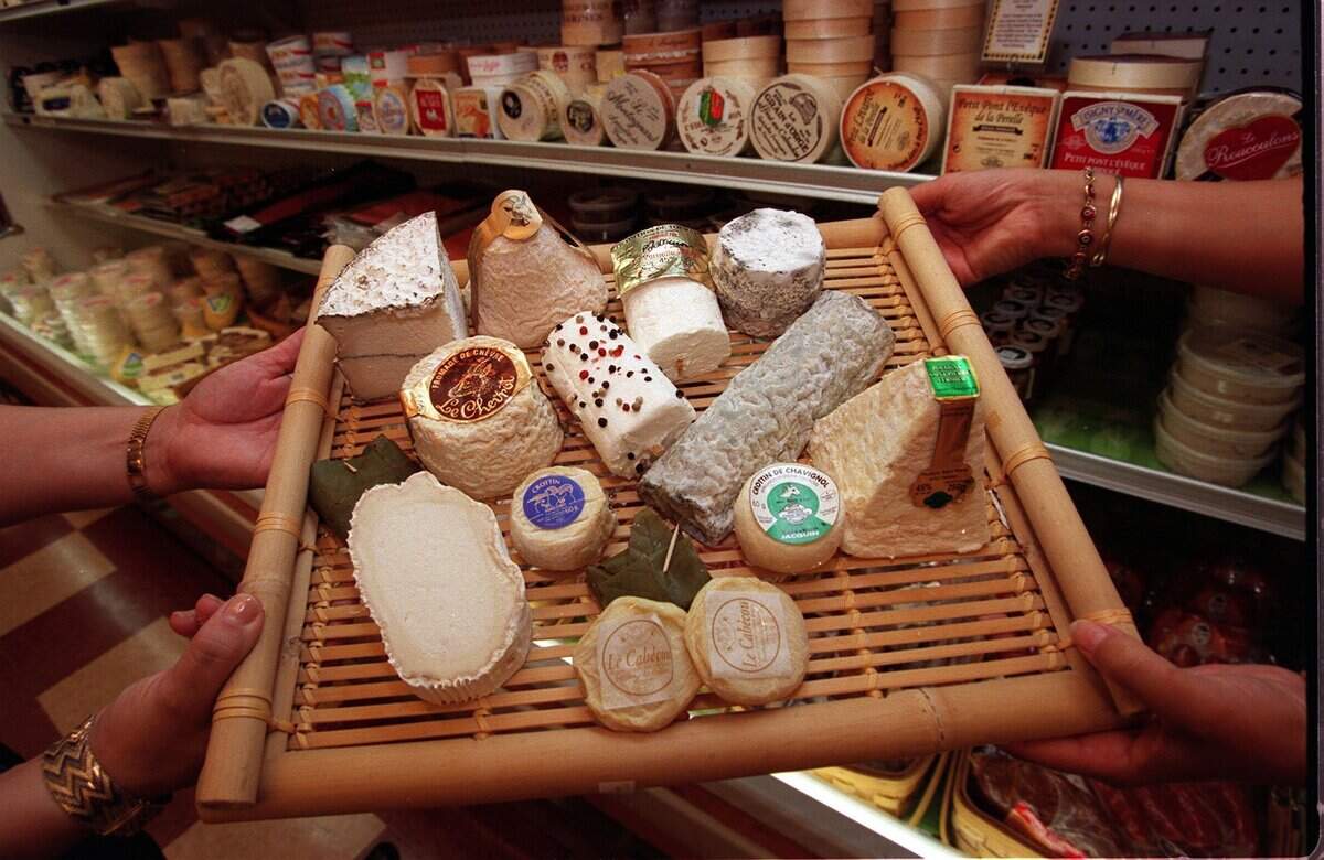 An array of goat cheese.