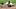 Tampa Bay Rays outfielder Chandler Simpson (