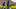 nflk