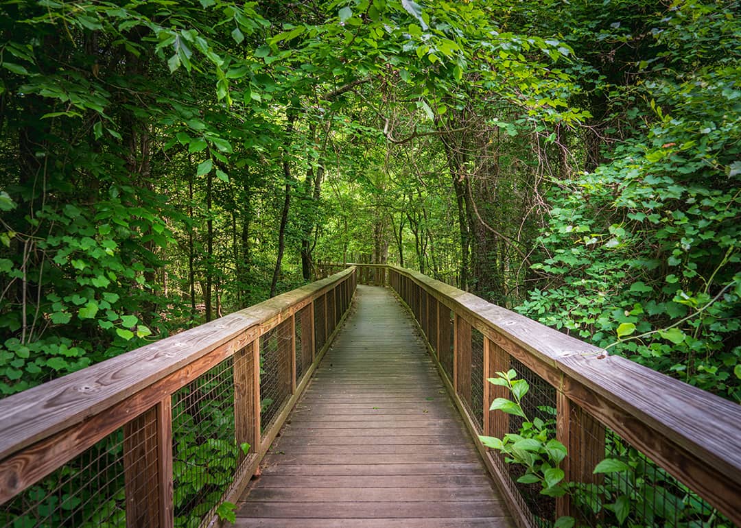 #4. Congaree National Park (South Carolina)
