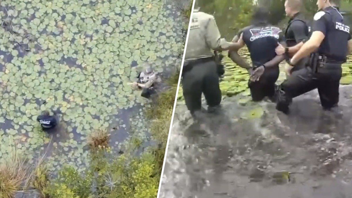 Video shows Florida deputies pursue hit-and-run suspect in gator-infested swamp – NBC 6 South Florida