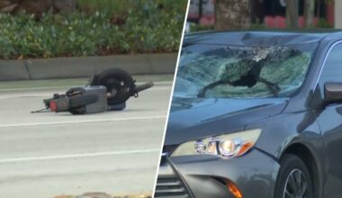 Teen rushed to hospital after being struck by car while riding scooter in Oakland Park – NBC 6 South Florida