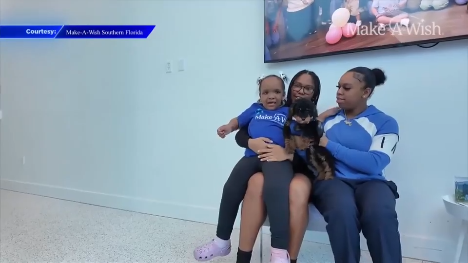 4-year-old battling cancer gets poodle wish granted by Make-A-Wish Southern Florida - WSVN 7News | Miami News, Weather, Sports