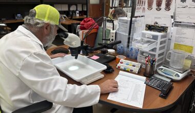 Dengue virus cases nearly double in Hillsborough County