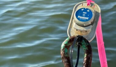 Study will determine if warmer waters are stressing seagrass