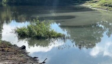 Southwest Florida Water Management District extends order