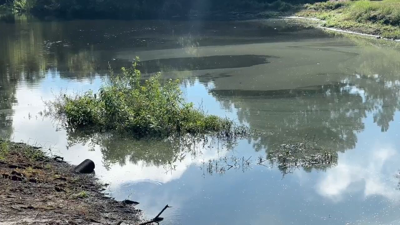 Southwest Florida Water Management District extends order