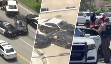 Police reports detail wild chase of Hialeah carjacking suspect – NBC 6 South Florida