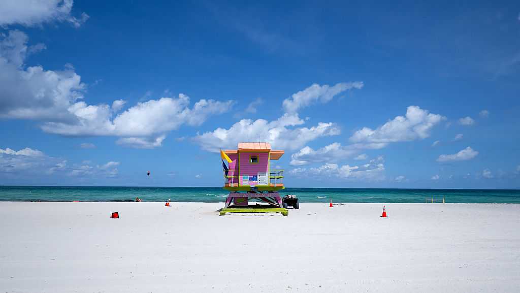 Fun things to do in South Florida