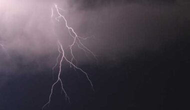Florida's 2026 lightning activity above historical averages