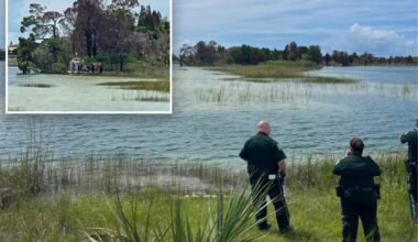 Child rushed to hospital after being savagely attacked by alligator in Florida on Labor Day