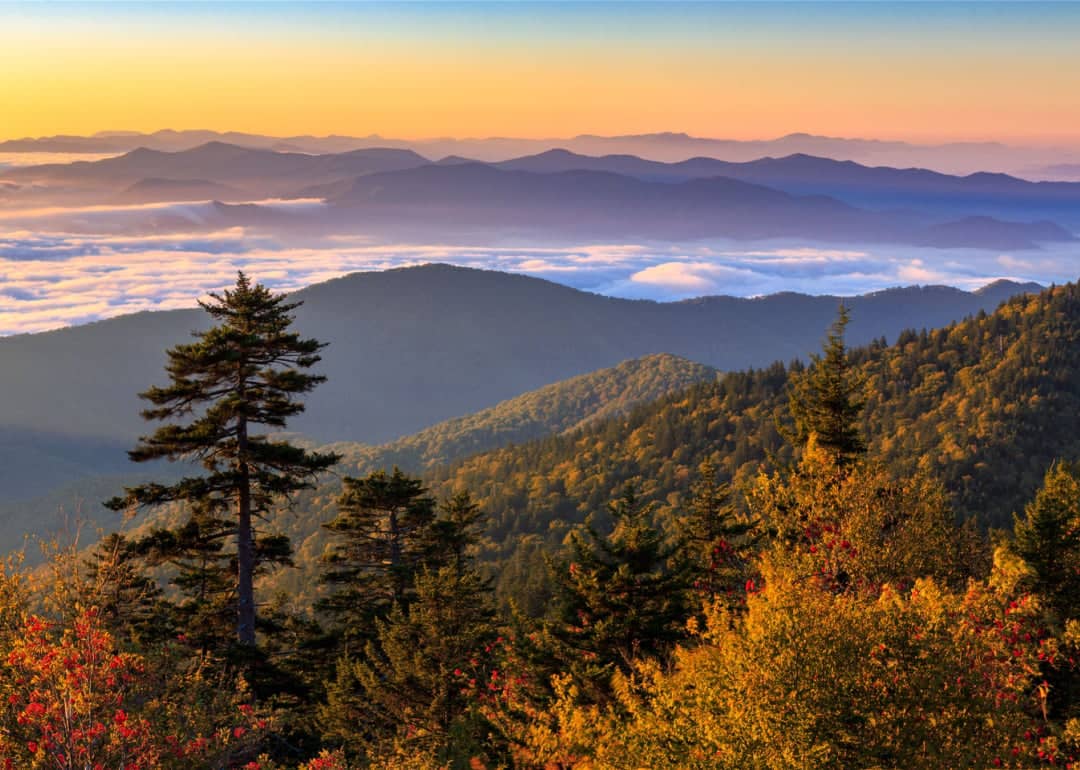 #5. Great Smoky Mountains National Park (North Carolina, Tennessee)