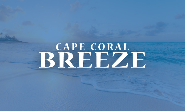 Cape police officer arrested for assault, battery; placed on administrative leave