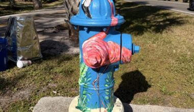 Fire district seeks feedback on hydrant art program - SANIBEL-CAPTIVA