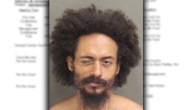 Orange County man recently released in Lake Eola swan killing case accused of metal pipe rampage, police say