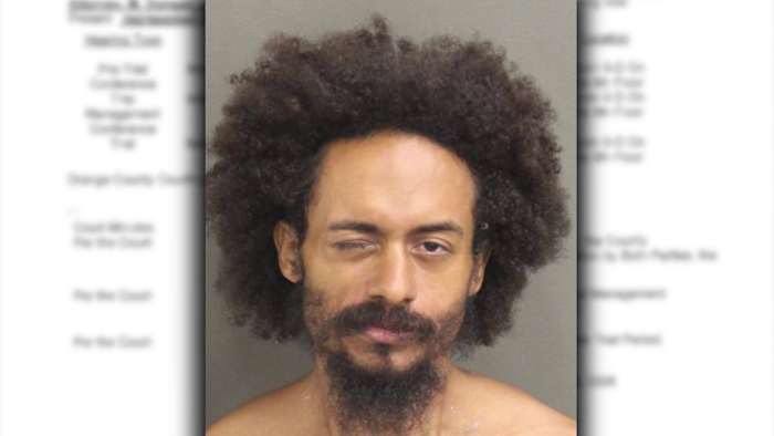 Orange County man recently released in Lake Eola swan killing case accused of metal pipe rampage, police say
