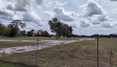 Hungerford Prep landowner descendants raise questions about future of site of former historic school