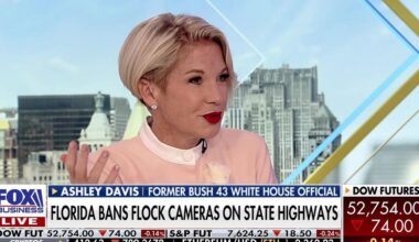 Florida bans Flock cameras on state highways over privacy concerns