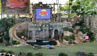 animal-actors-stage at universal studios florida