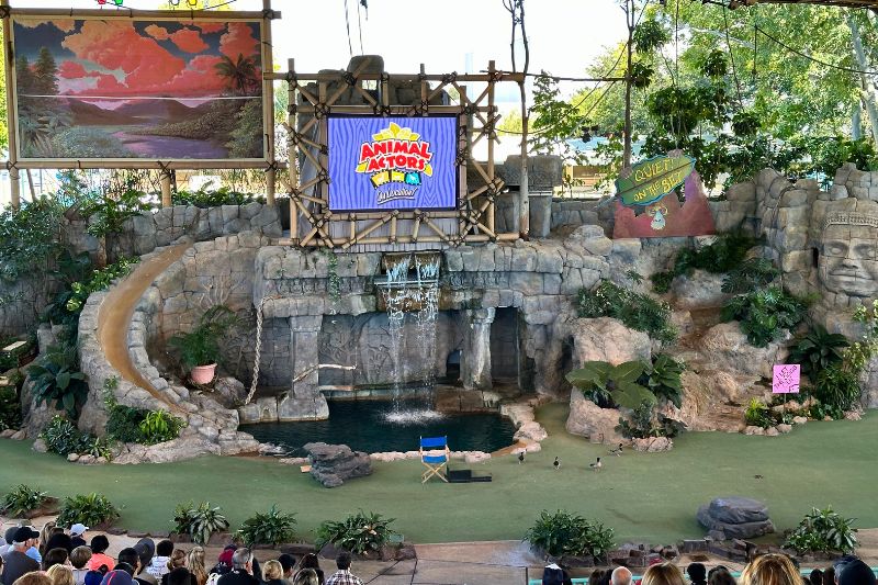 animal-actors-stage at universal studios florida